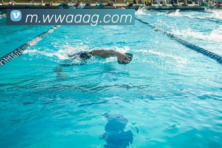 App Interface Preview