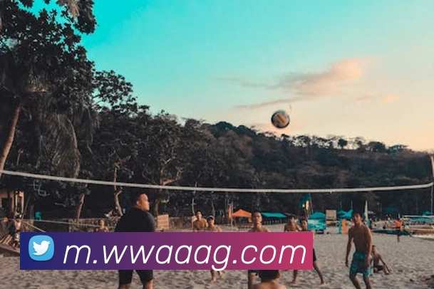 ag官网APP 封面图